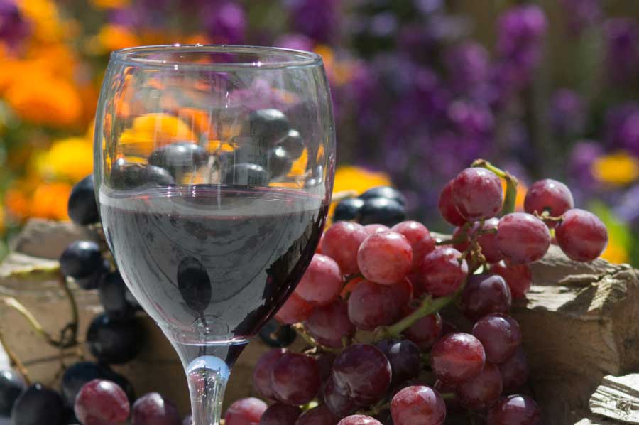 Barolo and Barbaresco-Diamonds of the Piedmont